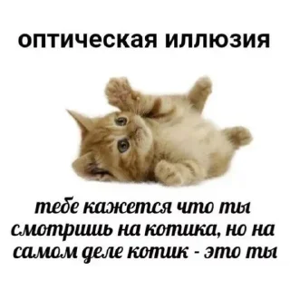 Sticker from Гы