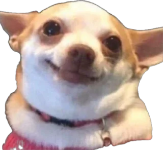 😊 emoji мемесы Telegram sticker 2 of 26