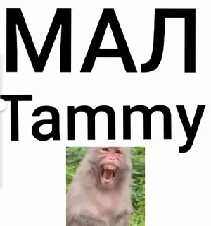 Sticker from Дима @TgEmodziBot