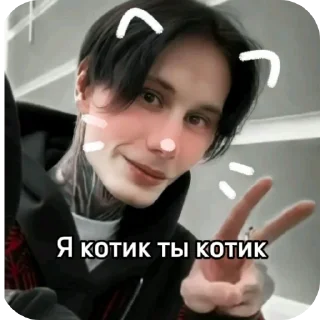 🐈 emoji ДМ @matveevdimaxx @dbabaykaa Telegram sticker 4 of 30