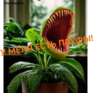 😡 emoji Подпишись на ТГ канал кофеин Telegram sticker 2 of 15