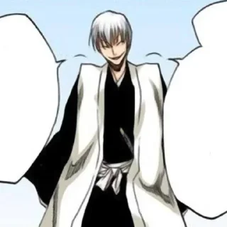 Sticker from Ichimaru Gin
@oneday_19days