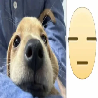 😒 emoji с¥¥ка ➡️ @Ctikerubot Telegram sticker 19 of 116