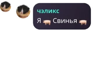 💇‍♀️ emoji Общежитие номер 10 pack by @QuotLyBot Telegram sticker 16 of 105