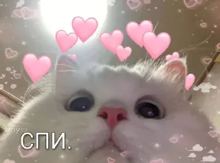 Sticker from Добавить ещё➡️ @emojipipka