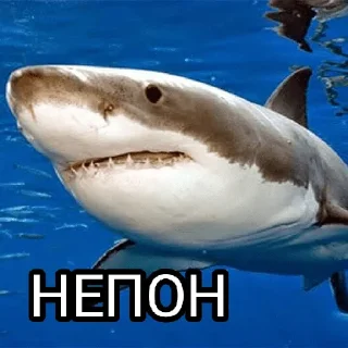 Sticker from Подпишись на @mesta22