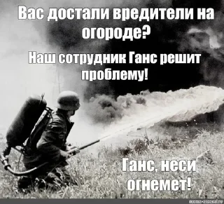 🪖 emoji Просто картинки Telegram sticker 21 of 76