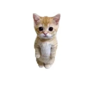 🙂 emoji мурики!! Telegram sticker 15 of 23