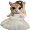🐈 emoji оу ноу, фылыкс и котики?? ➡️ @Ctikerubot Telegram sticker 11 of 145