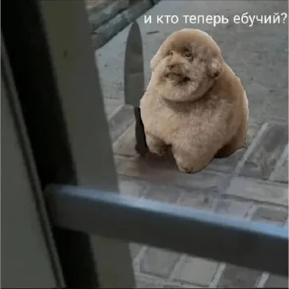 🤬 emoji ЕБУЧИЙ Telegram sticker 5 of 24