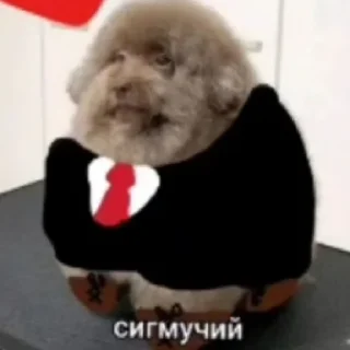 Sticker from ебучий - @XQ_infinix