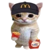 🐈 emoji оу ноу, фылыкс и котики?? ➡️ @Ctikerubot Telegram sticker 3 of 145