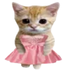 🐈 emoji оу ноу, фылыкс и котики?? ➡️ @Ctikerubot Telegram sticker 23 of 145