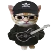 🐈 emoji оу ноу, фылыкс и котики?? ➡️ @Ctikerubot Telegram sticker 21 of 145