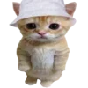 🐈 emoji оу ноу, фылыкс и котики?? ➡️ @Ctikerubot Telegram sticker 14 of 145