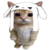 🐈 emoji оу ноу, фылыкс и котики?? ➡️ @Ctikerubot Telegram sticker 9 of 145