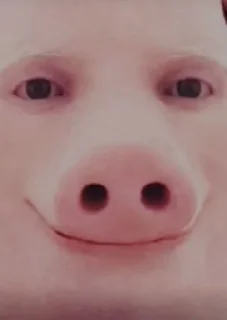 🐷 emoji Ппц Telegram sticker 19 of 76