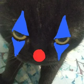 Sticker from Барсик оладушек