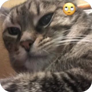 🙄 emoji покойся с миром Telegram sticker 6 of 21
