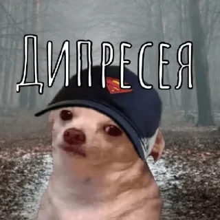 Sticker from Мемасики