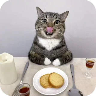 🐱 emoji фонтан детей навук💀 Telegram sticker 24 of 116