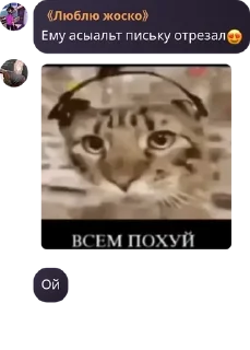 😍 emoji АРМИЯ ЛОШЕК pack by @QuotLyBot Telegram sticker 19 of 24