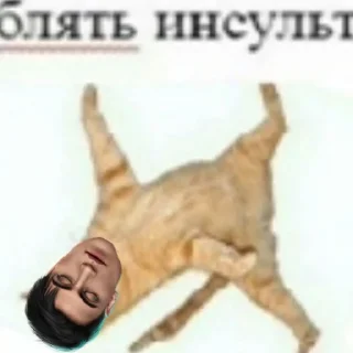 ⚰️ emoji ТРАХ Telegram sticker 16 of 88
