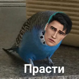 🥺 emoji ТРАХ Telegram sticker 6 of 88
