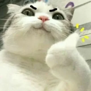 👍 emoji Мемные котики @anime_sticks Telegram sticker 5 of 20