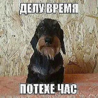 😔 emoji Дохуя аморальная хуйня от алешка18 ➡️ @Ctikerubot Telegram sticker 18 of 70