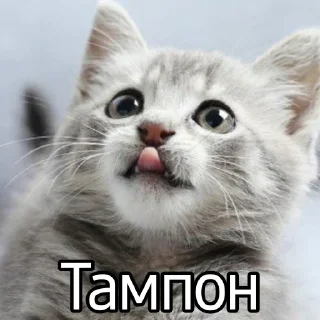 Sticker from Ответки-приветки