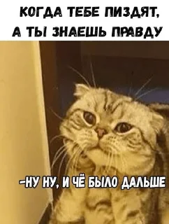 😀 emoji В случае важных переговоров — @stckrRobot Telegram sticker 17 of 116