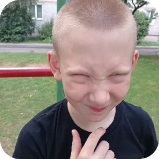 🖕 emoji Гвоздь бо синну в кеды Telegram sticker 5 of 84