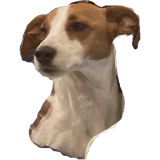 Sticker from Maya