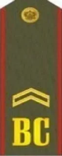 Sticker from Спамтону на СВО