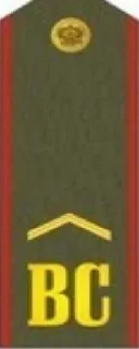 Sticker from Спамтону на СВО