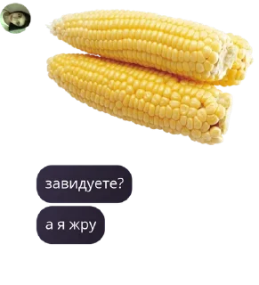 🌥️ emoji фанатики Барби от @l4nn33d Telegram sticker 12 of 120
