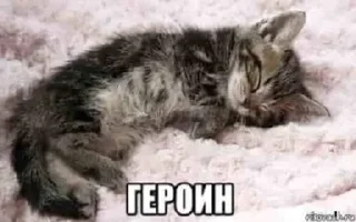 🤍 emoji Дешевый впн👉🏻 @cebvpn_bot Telegram sticker 12 of 85