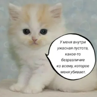 Sticker from мяу