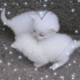 🥰 emoji мяу Telegram sticker 19 of 42