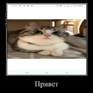 😅 emoji КАМАР 2.0 https://t.me/komarukanal1488 Telegram sticker 17 of 23