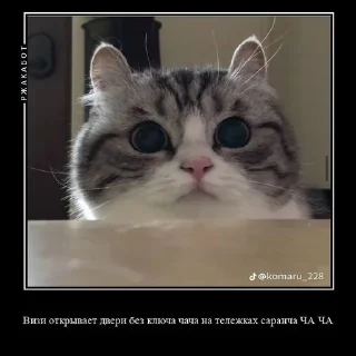 😘 emoji КАМАР 2.0 https://t.me/komarukanal1488 Telegram sticker 21 of 23