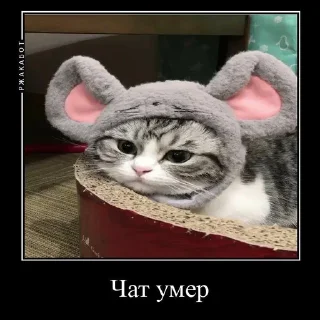 😘 emoji Камар @Kumarudrakyla Telegram sticker 21 of 24