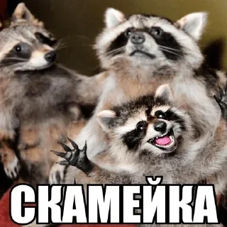 ⚰️ emoji разгон роутеров pack by @QuotLyBot Telegram sticker 9 of 120