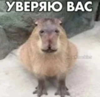😜 emoji Больше стиков тут: @stikery4 Telegram sticker 13 of 49