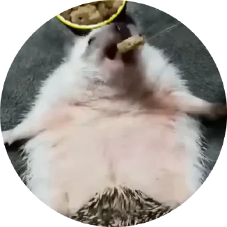 🌟 emoji Лучшие стикеры: @animstikers1 Telegram sticker 20 of 50