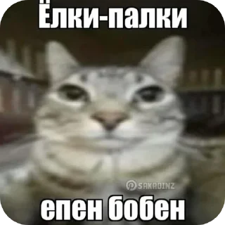 😳 emoji sosibratishka Telegram sticker 2 of 111