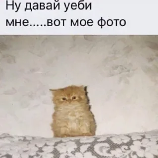 😍 emoji @sticksbb 🩷 <- канал со стиками Telegram sticker 10 of 120