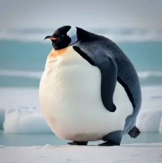 🐧 emoji жи есть Telegram sticker 11 of 13