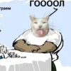 😱 emoji Орда маленких Волєлок. ➡️ @Ctikerubot Telegram sticker 15 of 28